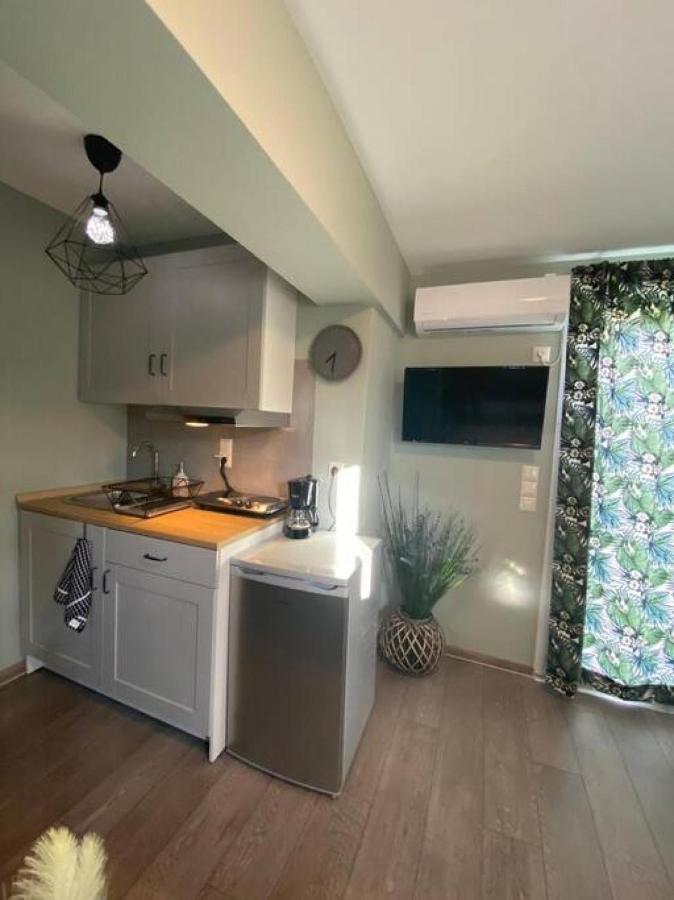 Rooftop Apartment With Garden In يانينة المظهر الخارجي الصورة